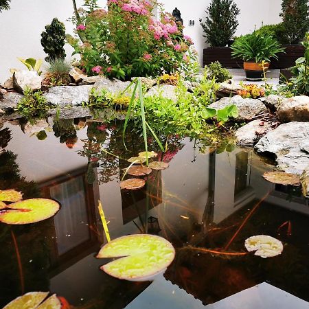 ​Gaestehaus Frans-Jozef Moenichkirchen Bagian luar foto